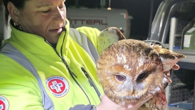 Retter im Dauerdienst: Kautz-Bergung von der Autobahn