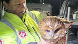 Retter im Dauerdienst: Kautz-Bergung von der Autobahn