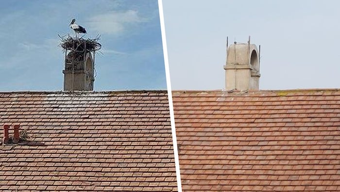 Im Juli 2025 baute ein Storch wieder ein Nest (li). Das wurde nun Anfang März vollständig ...