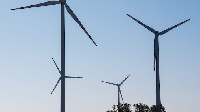 Wallner findet: „Es ist europäisch vollkommen egal, wo Windräder stehen.“