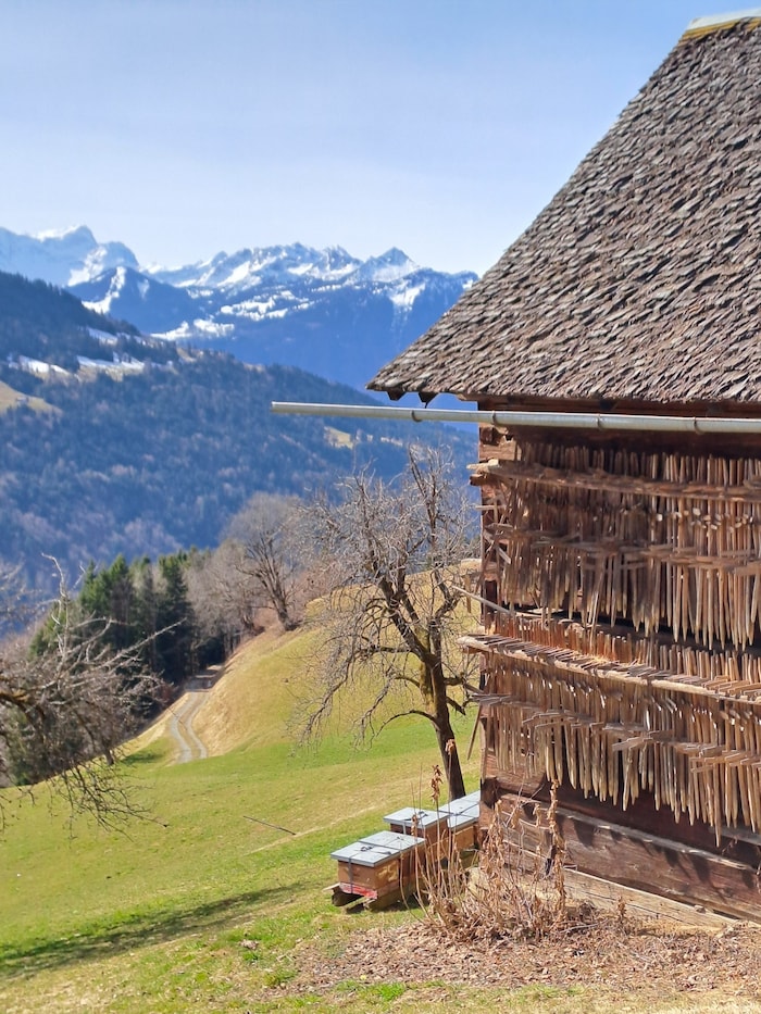 Ein alter Stadel mit den typischen Schindeln, an der Fassade hängen sogenannte Heumännchen. Im ...