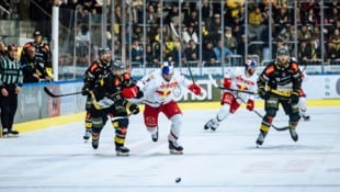 Peter Schneider (M:) und die Bulls unterlagen auch im zweiten Spiel.