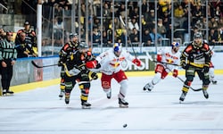 Peter Schneider (M:) und die Bulls unterlagen auch im zweiten Spiel.