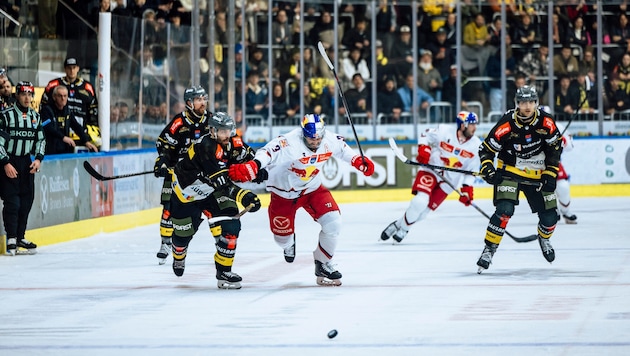 Peter Schneider (M:) und die Bulls unterlagen auch im zweiten Spiel.