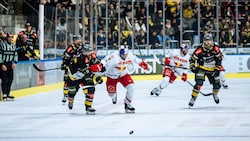 Peter Schneider (M:) und die Bulls unterlagen auch im zweiten Spiel.