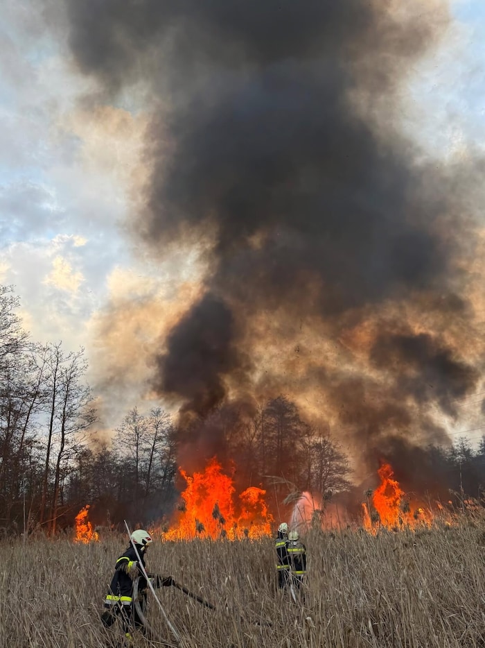 Der Kampf gegen die Flammen verlangte den Einsatzkräften alles ab.