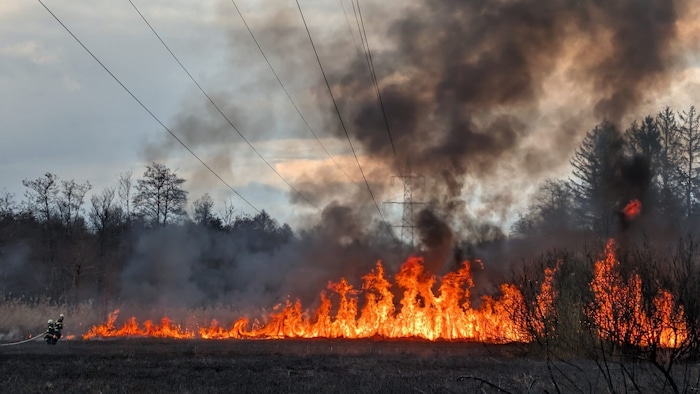 Eine durch das Brandgebiet verlaufende Hochspannungsleitung wurde abgedreht.