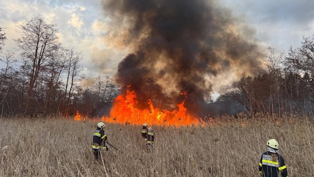 Meterhohe Flammen schlugen den Einsatzkräften entgegen.
