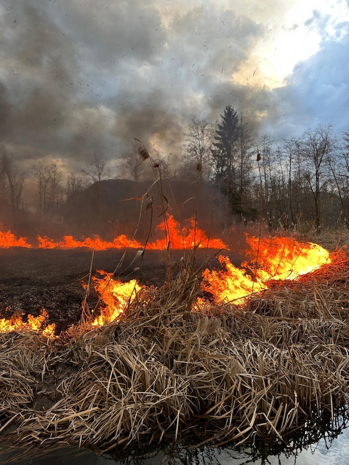 Das Feuer breitete sich durch den Wind rasch aus.
