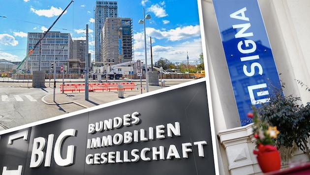 Das Bauprojekt Vienna Twentytwo verschlang fast die doppelten Errichtungskosten.