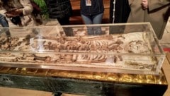 Die echten sterblichen Überreste des Franz von Assisi sind derzeit in der Basilika San Francesco ...