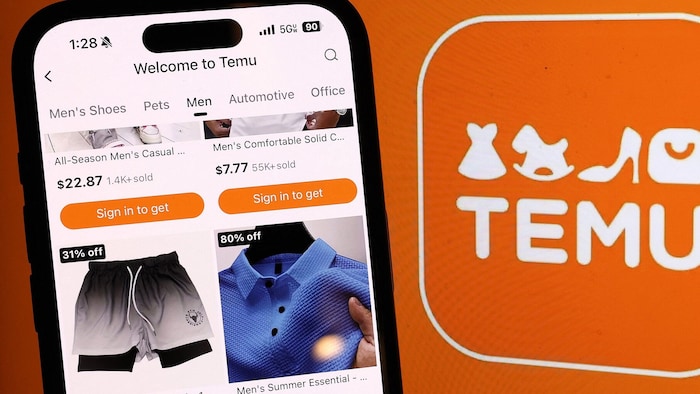 Betroffen von der Bearbeitungsgebühr werden Onlinehändler wie Temu und Shein sein.