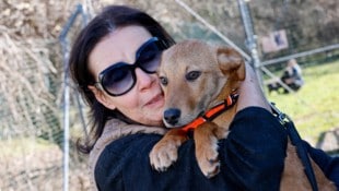 Helferin Ulli Wolf mit Dennis: Zurzeit können nicht so viele Hunde aufgenommen werden.