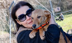 Helferin Ulli Wolf mit Dennis: Zurzeit können nicht so viele Hunde aufgenommen werden.