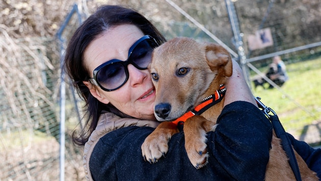 Helferin Ulli Wolf mit Dennis: Zurzeit können nicht so viele Hunde aufgenommen werden.