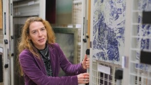 „Oberösterreich hat eine wirklich sehr lebendige Kunstszene“, ist Maria Reitter-Kollmann ...