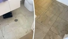 Die Striche ziehen sich über mehrere Räume.