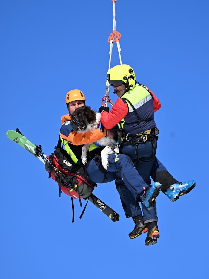 Rettung aus der Luft: Suchhunde wurden eingeflogen.