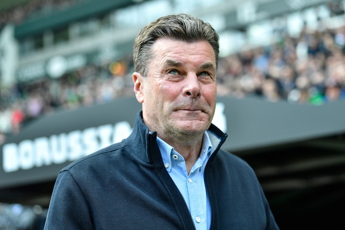 Unter Dieter Hecking soll Ruhe einkehren.
