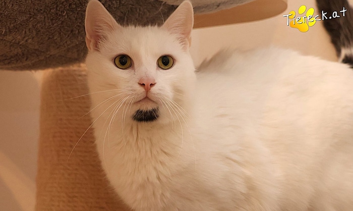 Lissy sucht einen Platz.