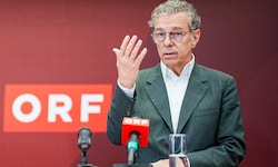 Gegen den Stiftungsratsvorsitzenden Heinz Lederer wird ermittelt.