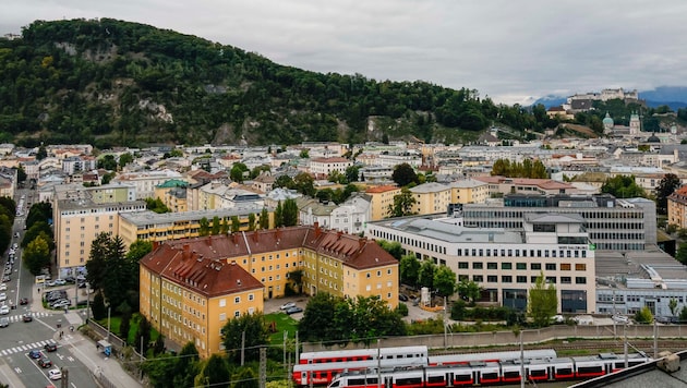 Die großen Wohnanlagen der Stadt werden künftig wieder öfter direkt vor Ort betreut.