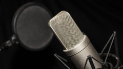 Wird Österreichs Stimme im Sicherheitsrat der UN zukünftig öfter zu hören sein?