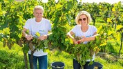 Franz Pichler mit Ehefrau Andrea: Zuerst „Wein-Eigenversuche“, nun wurde der Weinbaubetrieb Hahn ...