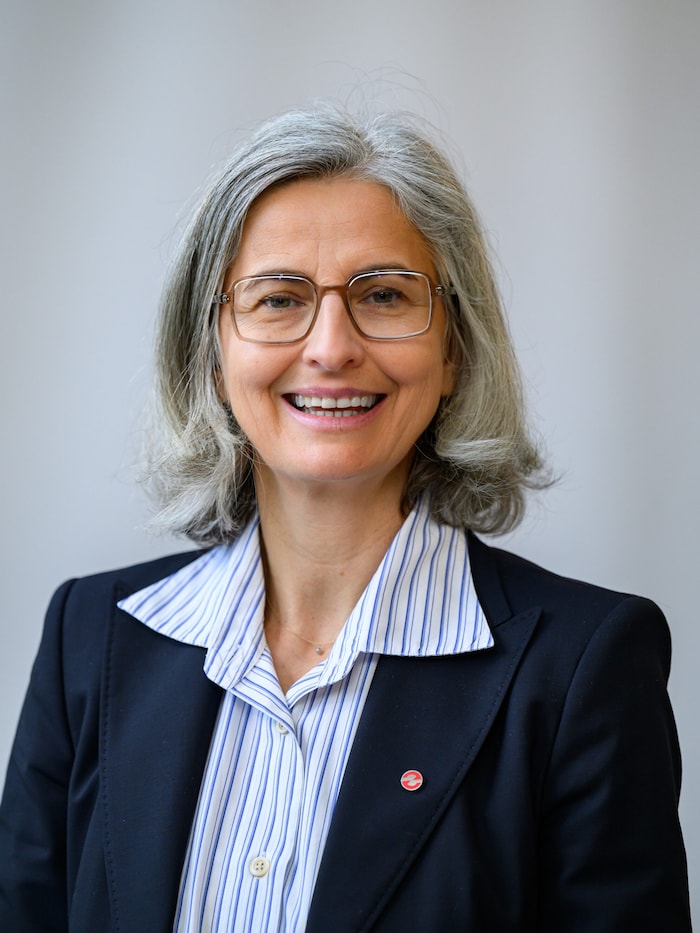 LH Thomas Stelzer schickte Energie-AG-Finanzchefin Eva Schinkinger in den Hypo-Aufsichtsrat.