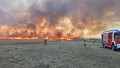 Rund 100 Feuerwehrmitglieder waren im Einsatz.