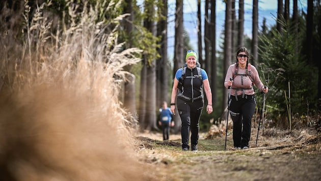 Am Donautrail gibt’s immer schöne, neue Wege und Wälder rund um Linz zu entdecken.