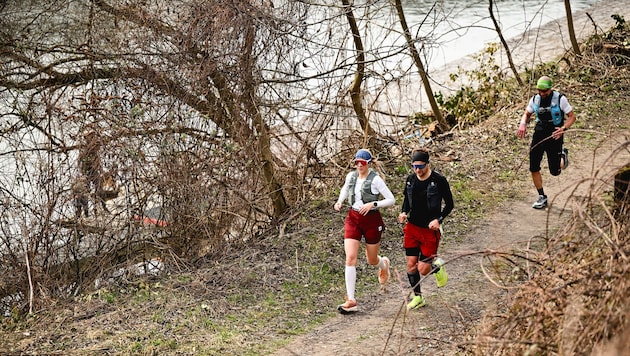Rechts die Donau, links die Natur.