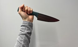 Zu der blutigen Attacke kam es in einer Wohnung in Wiener Neustadt.