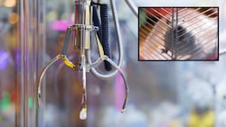 In einer Spielhalle in China wurden lebende Hamster in Greifautomaten angeboten.