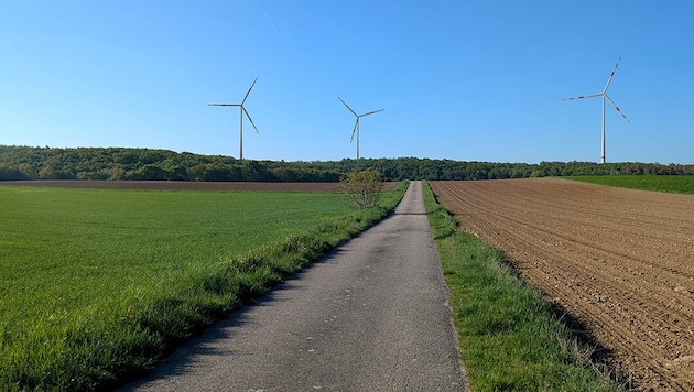 Jetzt ein Bild der Vergangenheit: Diese Fotomontage vom Verbund zeigt, wie die Windräder von ...