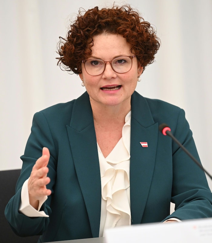 Energie-Staatssekretärin Zehetner