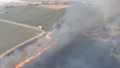 Rund 35 Hektar Schilf und Wiesen brannten am Samstag ab.