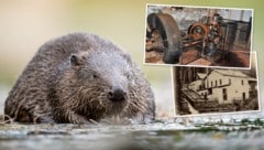 1898 ging die Turbine des Wechselstromkraftwerks im Kamptal bei Zwettl in Betrieb. Erst vor rund ...