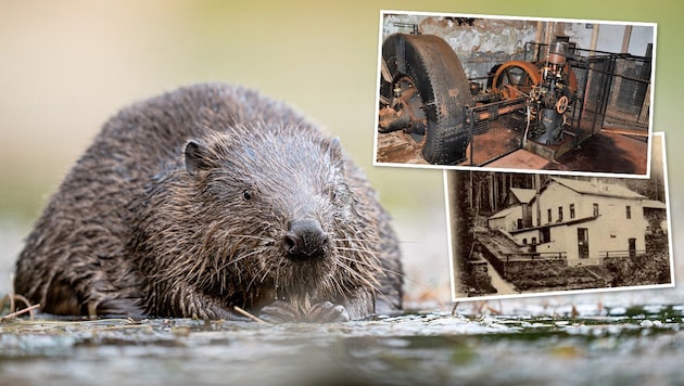 1898 ging die Turbine des Wechselstromkraftwerks im Kamptal bei Zwettl in Betrieb. Erst vor rund ...