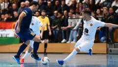 Muharemovic und Co. müssen sich mit dem Vizemeistertitel begnügen. 