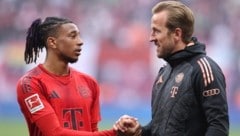 Michael Olise (l.) mit Sturm-Kollege Harry Kane (r.)