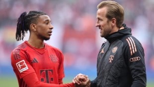 Michael Olise (l.) mit Sturm-Kollege Harry Kane (r.)