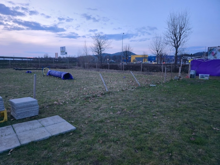 Der Autofahrer durchbroch den Zaun.