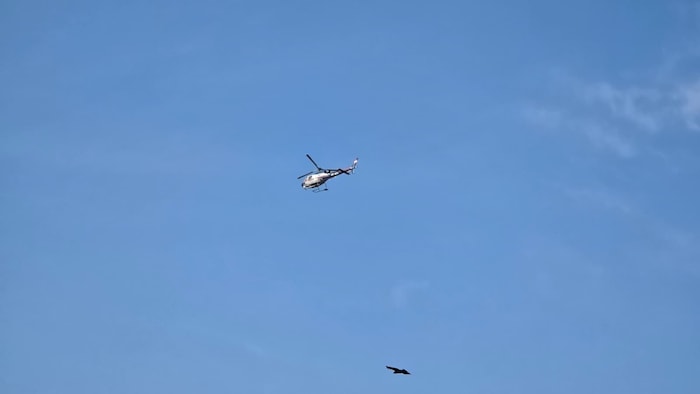 Mittels Hubschrauber wird nach dem Täter gefahndet.