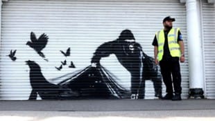 Ein Kunstwerk von Banksy vor dem Zoo in London – nun wurde enthüllt, wer hinter den Graffiti ...