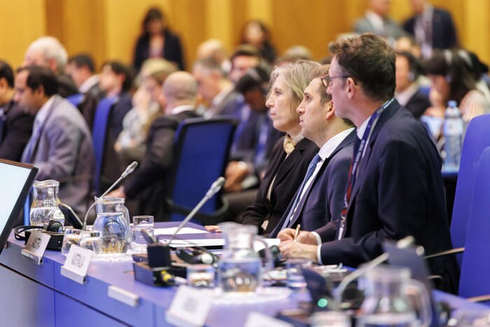 In Wien findet gerade eine große Tagung zum Internetbetrug statt. Aus Österreich ist ...