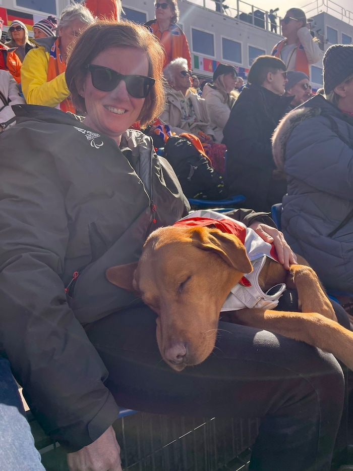 Ab und zu gönnte sich der Labrador auch eine Runde Schlaf.