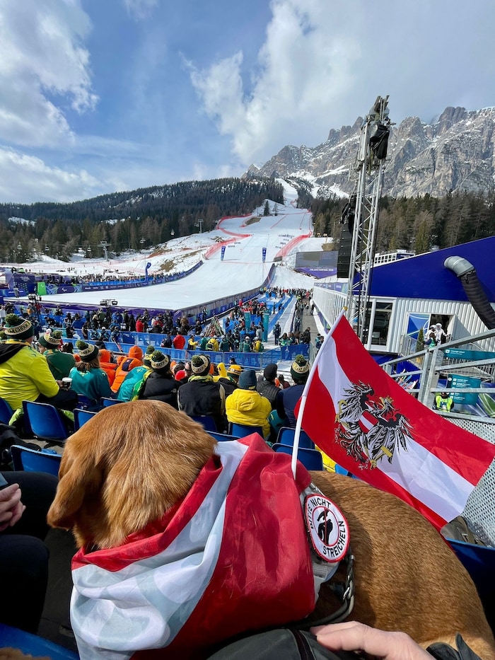 Natürlich fieberte er mit den österreichischen Starterinnen und Startnern mit.