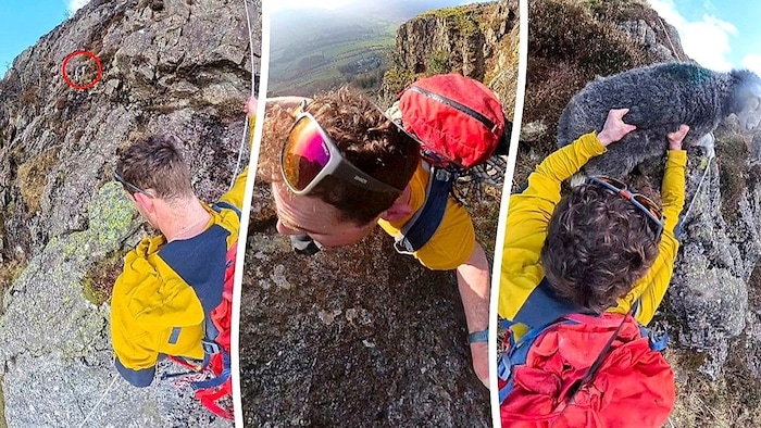 Im steilen Gelände griff der tierliebe Kletterer einfach beherzt zu.