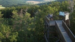 Vor rund 15 Jahren eröffnet, entwickelte sich der rund 500 Meter lange Weg rasch zu einem ...